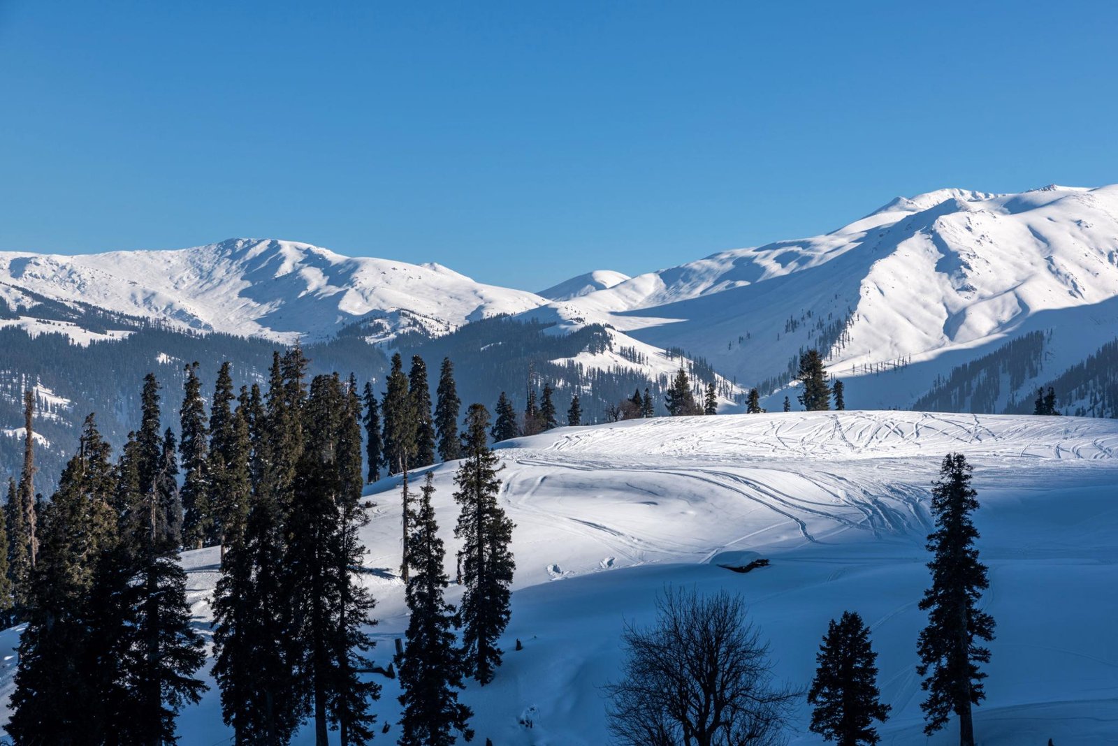 Srinagar Kashmir Tour